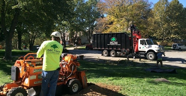 Kansas City Tree Removal and KC Trimming Company