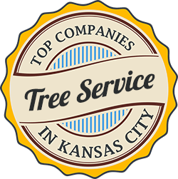 Tree Trimming - Wright-Hennepin Electric