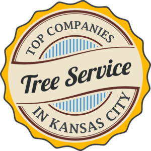 kansas city tree service