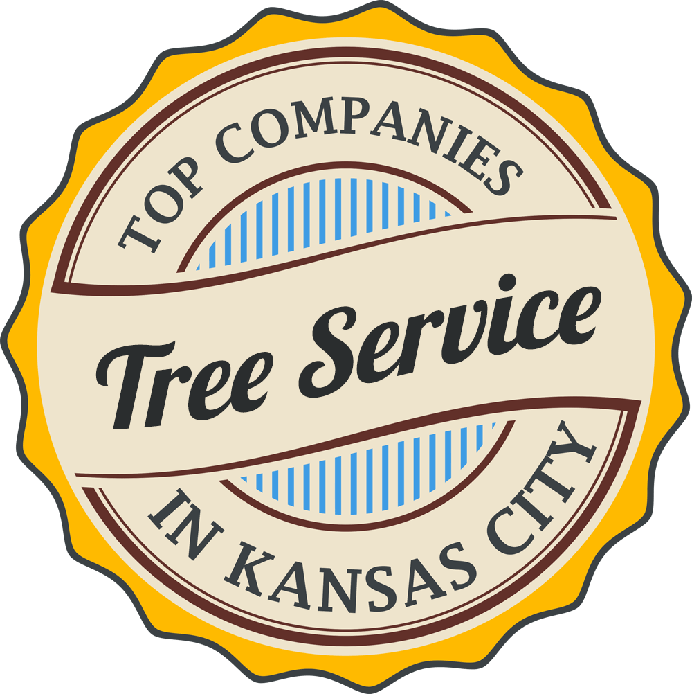 10 Best Kansas City Tree Service & Tree Trimming Companies
