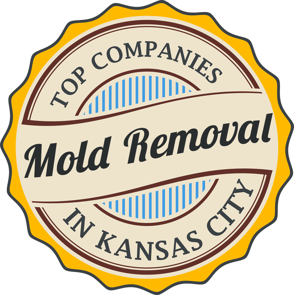 mold removal kansas city